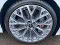 Audi RS3 CARBOCERAMICI - TETTO -EXCLUSIVE - IVA ESPOSTA 22% Білий - thumbnail 7