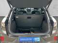 Ford Puma ST X 1.5 l Navi B&O Panodach digitales Cockpit Sou Gris - thumbnail 4