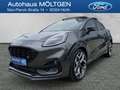 Ford Puma ST X 1.5 l Navi B&O Panodach digitales Cockpit Sou Gris - thumbnail 1