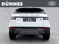 Land Rover Range Rover Evoque SD4 Prestige Automatik Weiß - thumbnail 7
