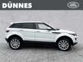 Land Rover Range Rover Evoque SD4 Prestige Automatik Weiß - thumbnail 6