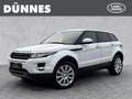 Land Rover Range Rover Evoque SD4 Prestige Automatik Weiß - thumbnail 1