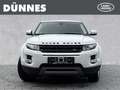 Land Rover Range Rover Evoque SD4 Prestige Automatik Weiß - thumbnail 8