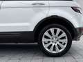 Land Rover Range Rover Evoque SD4 Prestige Automatik Weiß - thumbnail 9