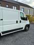 Fiat Ducato L1H1 Wit - thumbnail 5