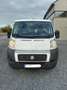 Fiat Ducato L1H1 Wit - thumbnail 7