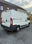 Fiat Ducato L1H1 Wit - thumbnail 4