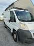 Fiat Ducato L1H1 Wit - thumbnail 6