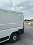 Fiat Ducato L1H1 Wit - thumbnail 3
