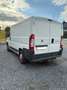 Fiat Ducato L1H1 Wit - thumbnail 2