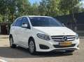 Mercedes-Benz B 220 d Ambition MOTOR DEFECT Weiß - thumbnail 2