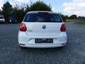 Volkswagen Polo V Trendline*8fach bereift, Scheckheft gepfl Weiß - thumbnail 8