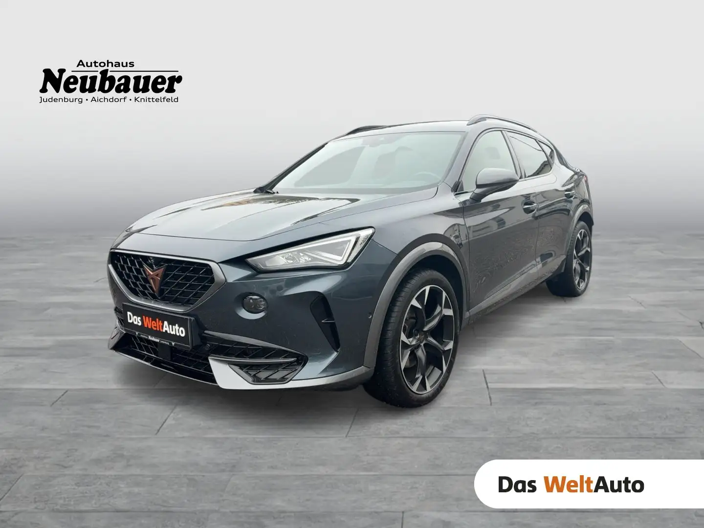 CUPRA Formentor 1.5 TSI 150 PS ACT Grau - 1