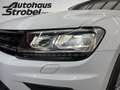 Volkswagen Tiguan 2.0 TDI DSG 4M Highline Standh. ACC LED N Weiß - thumbnail 17