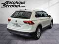 Volkswagen Tiguan 2.0 TDI DSG 4M Highline Standh. ACC LED N Weiß - thumbnail 6