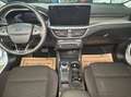 Ford Focus Focus Kombi 1.5 EcoBlue Titanium X, AHK, LED Weiß - thumbnail 8