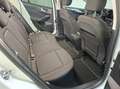 Ford Focus Focus Kombi 1.5 EcoBlue Titanium X, AHK, LED Weiß - thumbnail 11