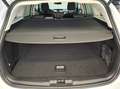 Ford Focus Focus Kombi 1.5 EcoBlue Titanium X, AHK, LED Weiß - thumbnail 12