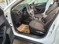 Ford Focus Focus Kombi 1.5 EcoBlue Titanium X, AHK, LED Weiß - thumbnail 7