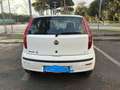 Fiat Punto Blanc - thumbnail 2