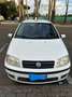 Fiat Punto Blanc - thumbnail 1