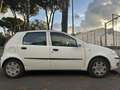 Fiat Punto Blanc - thumbnail 11