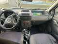 Fiat Punto Blanc - thumbnail 5