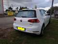Volkswagen Golf Golf 5p 1.4 tgi Highline 110cv Bianco - thumbnail 9