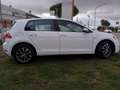 Volkswagen Golf Golf 5p 1.4 tgi Highline 110cv Bianco - thumbnail 6