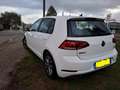 Volkswagen Golf Golf 5p 1.4 tgi Highline 110cv Bianco - thumbnail 12