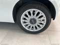 Fiat 500 1.2 Pop GPL Bianco - thumbnail 15