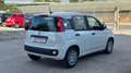 Fiat Panda Panda 1.0 firefly hybrid Bianco - thumbnail 3