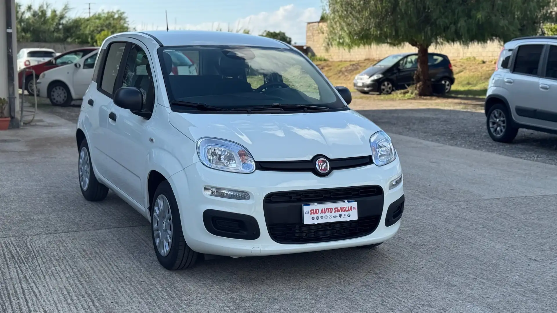 Fiat Panda Panda 1.0 firefly hybrid Bianco - 2