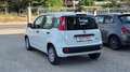 Fiat Panda Panda 1.0 firefly hybrid Bianco - thumbnail 4