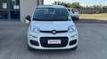 Fiat Panda Panda 1.0 firefly hybrid Bianco - thumbnail 12