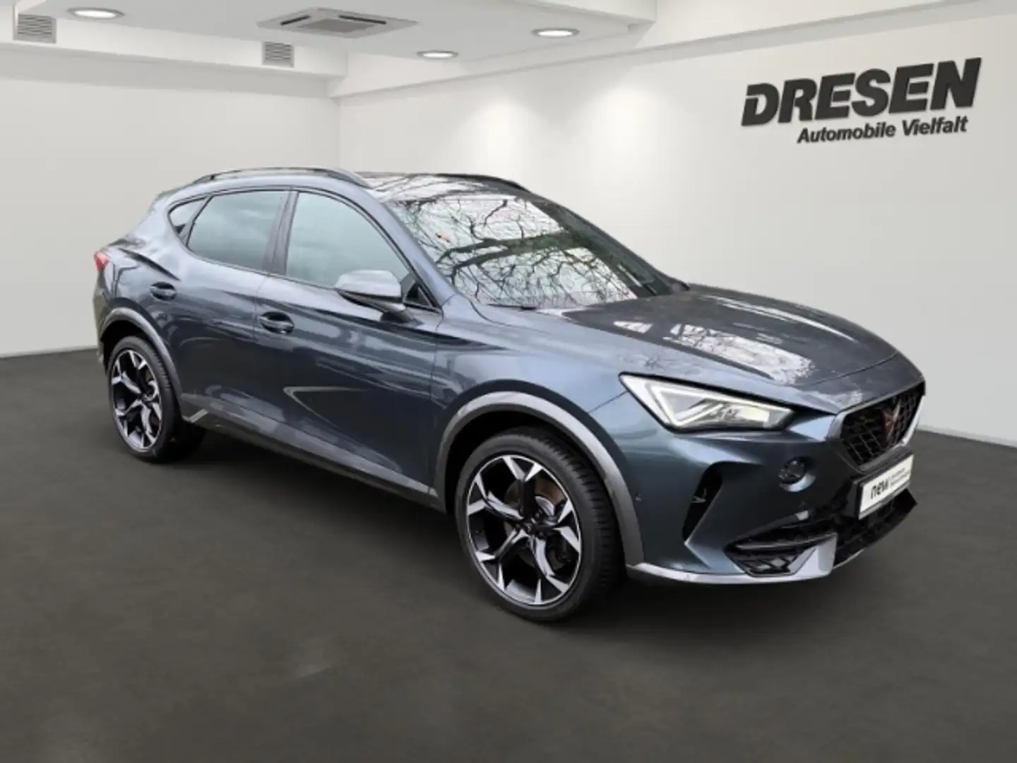 CUPRA Formentor VZ 2.0 TSI 245 PS 360°KAMERA ANHÄNGERKUPPLUNG NAVI Grau - 2