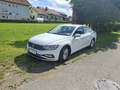 Volkswagen Passat Business 2,0 SCR TDI DSG Weiß - thumbnail 1