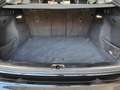 Audi Q5 Q5 SPB 40 TDI quattro S tronic Identity Black Schwarz - thumbnail 10