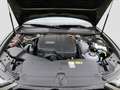 Audi A6 Avant 55 TFSI e 20" CARBON ACC Grün - thumbnail 12