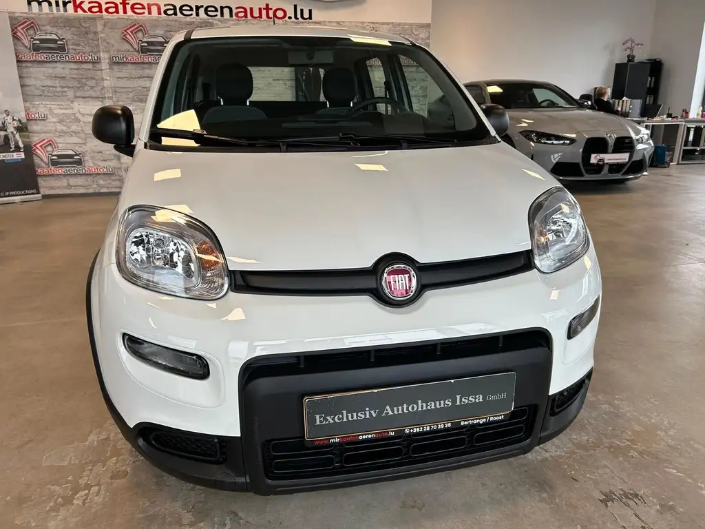 Fiat Panda 2023 из Европы — купить под ключ