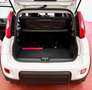 Fiat Panda Panda 0.9 t.air nat power City Cross 70cv 5p. Weiß - thumbnail 15