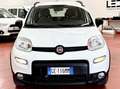 Fiat Panda Panda 0.9 t.air nat power City Cross 70cv 5p. Weiß - thumbnail 2