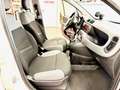 Fiat Panda Panda 0.9 t.air nat power City Cross 70cv 5p. Weiß - thumbnail 12