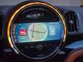MINI Cooper S Countryman - Northwood - Panodak Beige - thumbnail 30