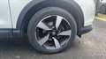 Nissan Qashqai II 1.6 dCi 130 Xtronic N-Connecta - Automatique Blanc - thumbnail 17