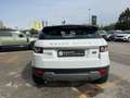 Land Rover Range Rover Evoque D150  Pure Auto Bianco - thumbnail 5