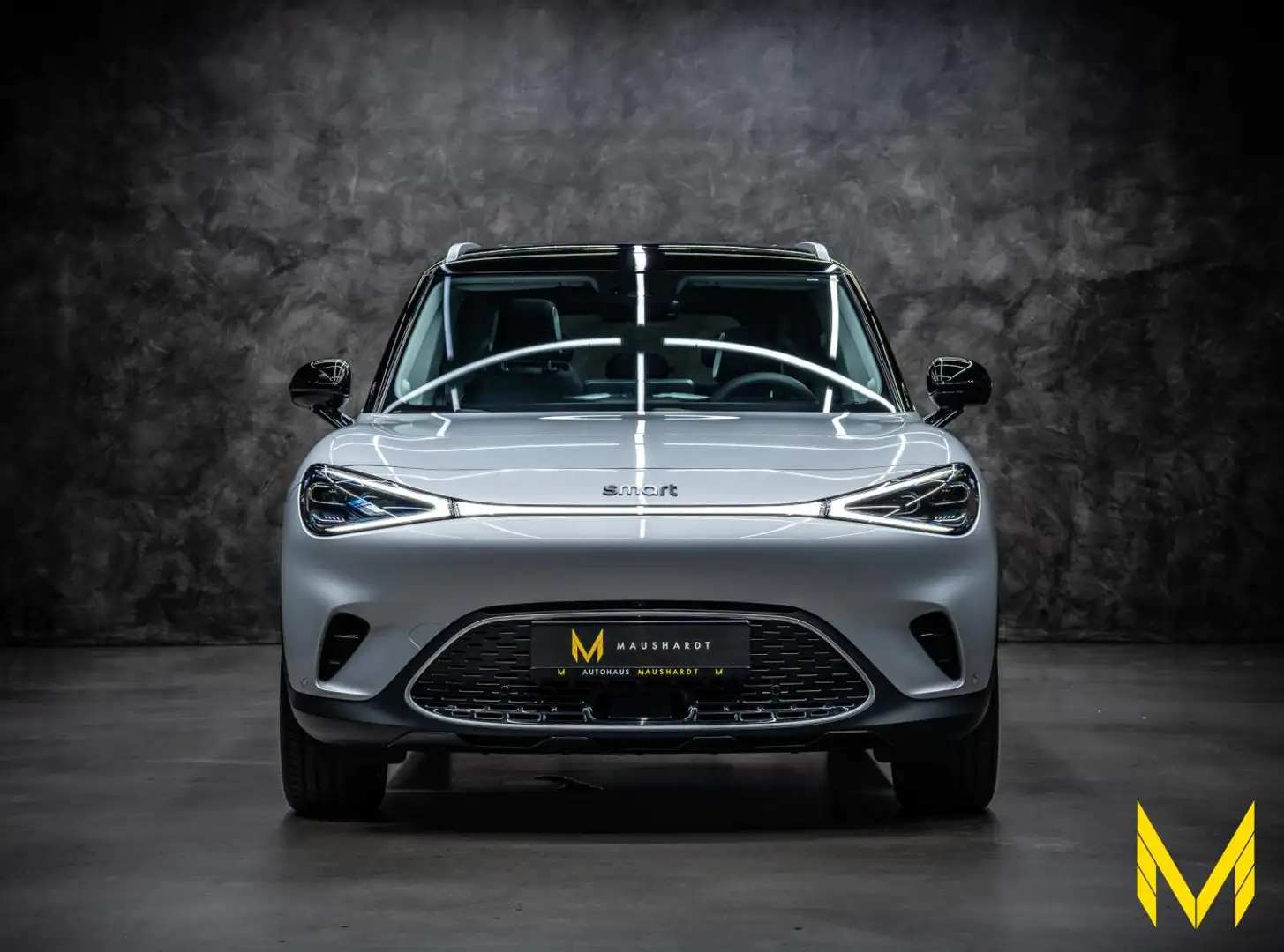 smart #1 PREMIUM #BEATS #CYBER #HUD #360 #PANO #ALL IN Argento - 2