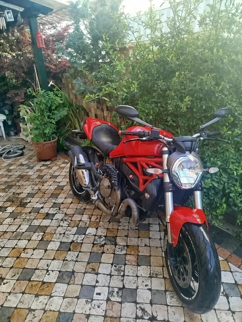 Ducati Monster 821 Rot - 1