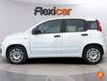 Fiat Panda City Life Hybrid 1.0 Gse 51kw (70CV) Blanco - thumbnail 5