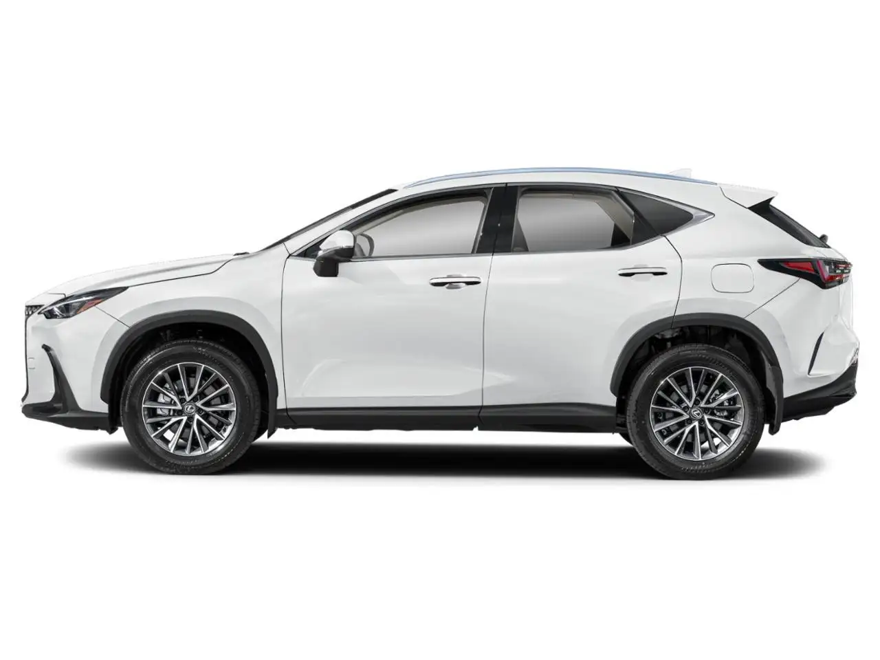 Lexus NX photo Lexus NX
